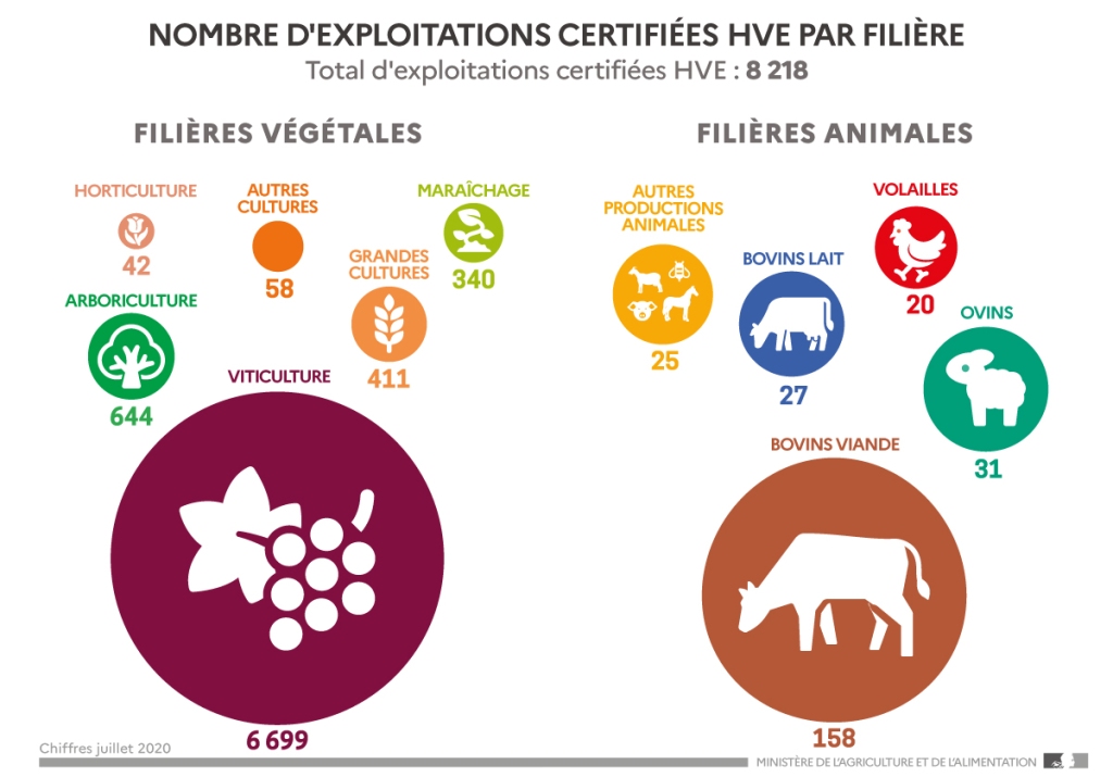 Infographie du Ministère de l'Agriculture et de l'Alimentation